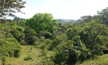 Terreno en venta, Transístmica - Chilibre (Panamá)