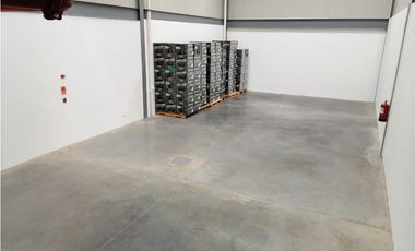 Venta de bodega en Panamá Viejo céntricas para inversión