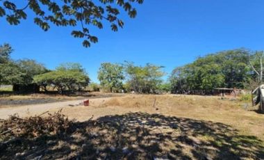 Venta de Terreno 6978m2 con Bodega en Via Pcpal, Aguadulce, Coclé