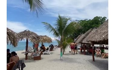 Venta de 5,000 m² de Terreno de Playa con Negocio en Farallón,Cod-J185