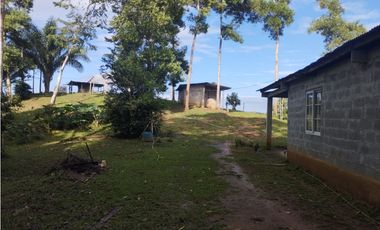 Finca de 100 HAS en venta El Espino-Vía Santa Rita (DR)