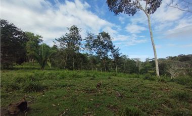 Finca de 100 HAS en venta El Espino-Vía Santa Rita (DR)