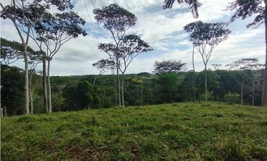 Finca de 100 HAS en venta El Espino-Vía Santa Rita (DR)