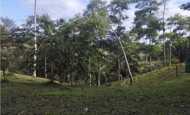 Finca de 100 HAS en venta El Espino-Vía Santa Rita (DR)