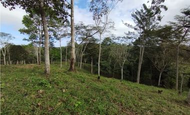 Finca de 100 HAS en venta El Espino-Vía Santa Rita (DR)