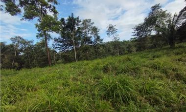 Finca de 100 HAS en venta El Espino-Vía Santa Rita (DR)