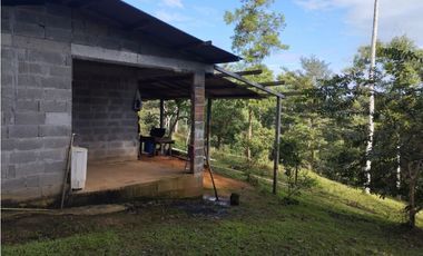 Finca de 100 HAS en venta El Espino-Vía Santa Rita (DR)