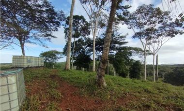 Finca de 100 HAS en venta El Espino-Vía Santa Rita (DR)