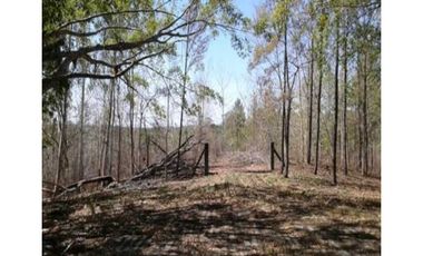 Venta de lot en loma bonita/ la mesa de San Martin Pmá. Este.Cod-J176