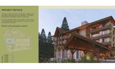 Proyecto PINOALTO Boquete,Roi 11%