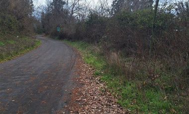 Parcela en Venta en Ruta Q-117 Los Angeles Caliboro