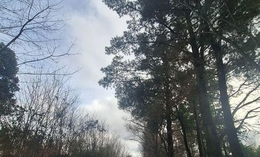 Parcela en Venta en Ruta Q-117 Los Angeles Caliboro