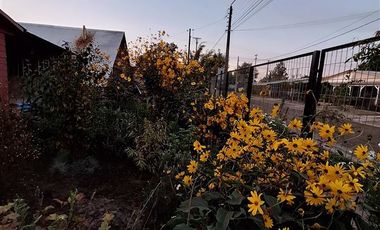Casa en Venta en San Carlos Purén, Los Angeles