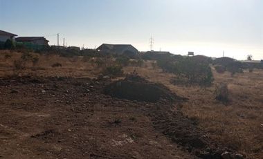 Parcela en Venta en Fundo Santa Ines, los vilos