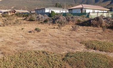 Parcela en Venta en Fundo Santa Ines, los vilos