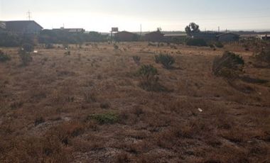 Parcela en Venta en Fundo Santa Ines, los vilos