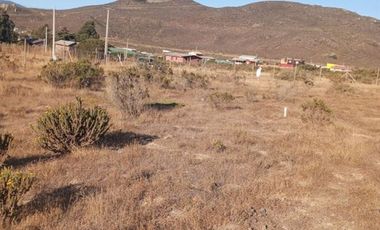 Parcela en Venta en Fundo Santa Ines, los vilos