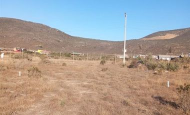Parcela en Venta en Fundo Santa Ines, los vilos