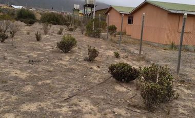Parcela en Venta en Fundo Santa Ines, los vilos