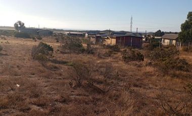 Parcela en Venta en Fundo Santa Ines, los vilos