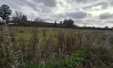 Parcela en Venta en Ruta Q-117 Los Angeles Caliboro