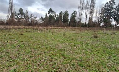 Parcela en Venta en Ruta Q-117 Los Angeles Caliboro