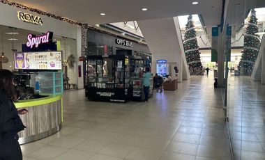 RENTA DE LOCAL COMERCIAL