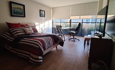 SE VENDE O SE RENTA (AMUEBLADO LA RENTA) ESPECTACULAR PENT HOUSE EN POLANCO (V)