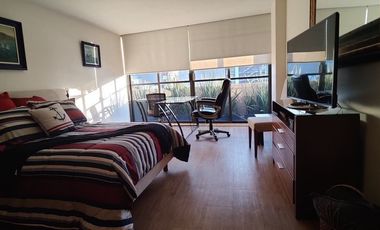 SE VENDE O SE RENTA (AMUEBLADO LA RENTA) ESPECTACULAR PENT HOUSE EN POLANCO (V)