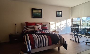SE VENDE O SE RENTA (AMUEBLADO LA RENTA) ESPECTACULAR PENT HOUSE EN POLANCO (V)