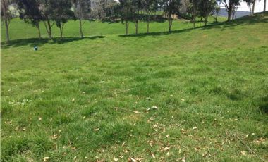 Finca en venta la Union Antioquia 25 hectáreas, o 40 cuadras