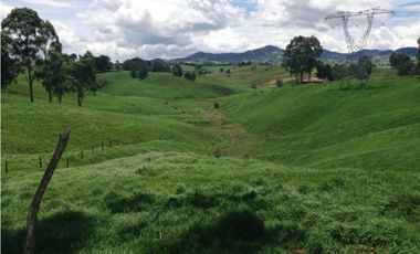 Finca en venta la Union Antioquia 25 hectáreas, o 40 cuadras