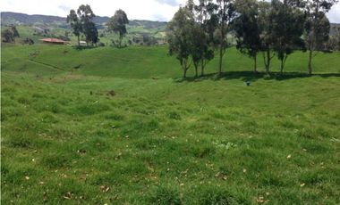 Finca en venta la Union Antioquia 25 hectáreas, o 40 cuadras