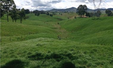 Finca en venta la Union Antioquia 25 hectáreas, o 40 cuadras