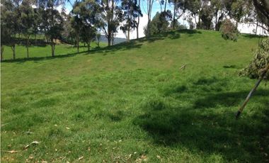 Finca en venta la Union Antioquia 25 hectáreas, o 40 cuadras