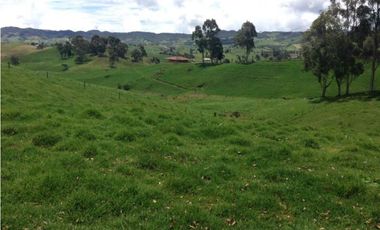 Finca en venta la Union Antioquia 25 hectáreas, o 40 cuadras