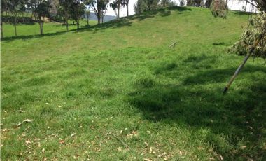 Finca en venta la Union Antioquia 25 hectáreas, o 40 cuadras