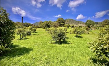 Venta Renta Finca Independiente Via San Antonio La Ceja Exotica Vista