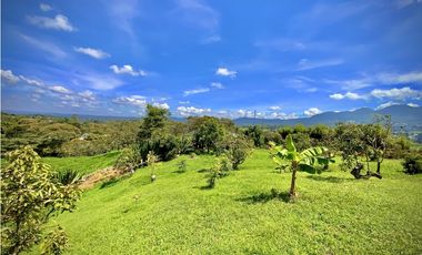 Venta Renta Finca Independiente Via San Antonio La Ceja Exotica Vista
