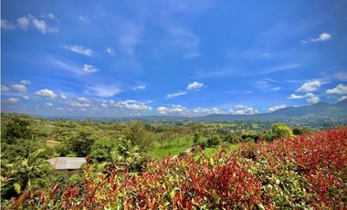 Venta Renta Finca Independiente Via San Antonio La Ceja Exotica Vista
