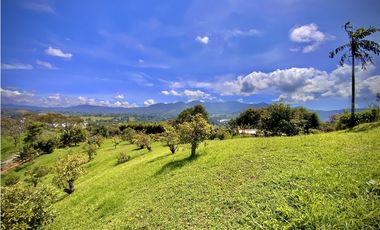 Venta Renta Finca Independiente Via San Antonio La Ceja Exotica Vista
