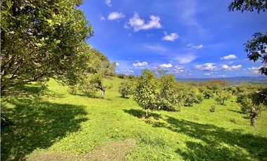 Venta Renta Finca Independiente Via San Antonio La Ceja Exotica Vista