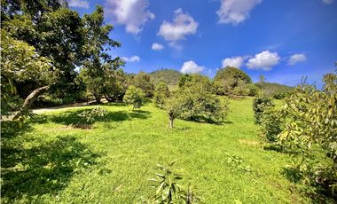 Venta Renta Finca Independiente Via San Antonio La Ceja Exotica Vista