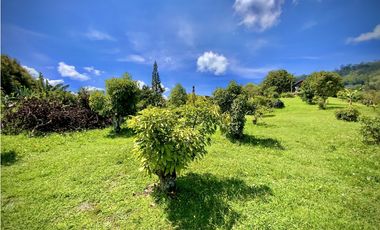 Venta Renta Finca Independiente Via San Antonio La Ceja Exotica Vista
