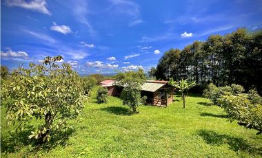 Venta Renta Finca Independiente Via San Antonio La Ceja Exotica Vista