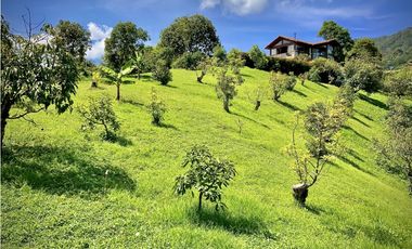 Venta Renta Finca Independiente Via San Antonio La Ceja Exotica Vista