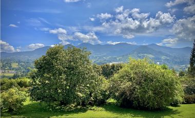Venta Renta Finca Independiente Via San Antonio La Ceja Exotica Vista