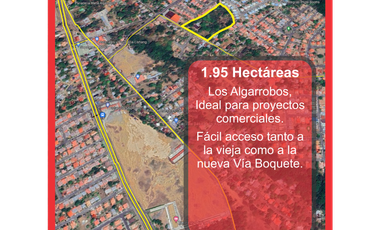 VENDO UNA HECTAREA + 9500 MTS ALGARROBOS