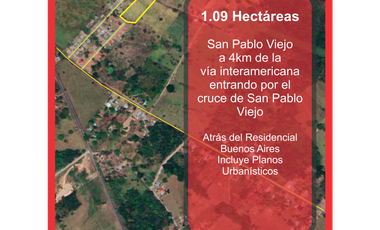 VENDO UNA HECTAREA DE TERRENO COLINDANTE CON URBANIZACION SAN PABLO