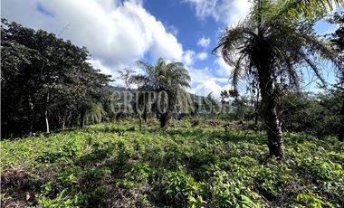 Oportunidad! Se Vende Hermoso Terreno en Altos del Maria